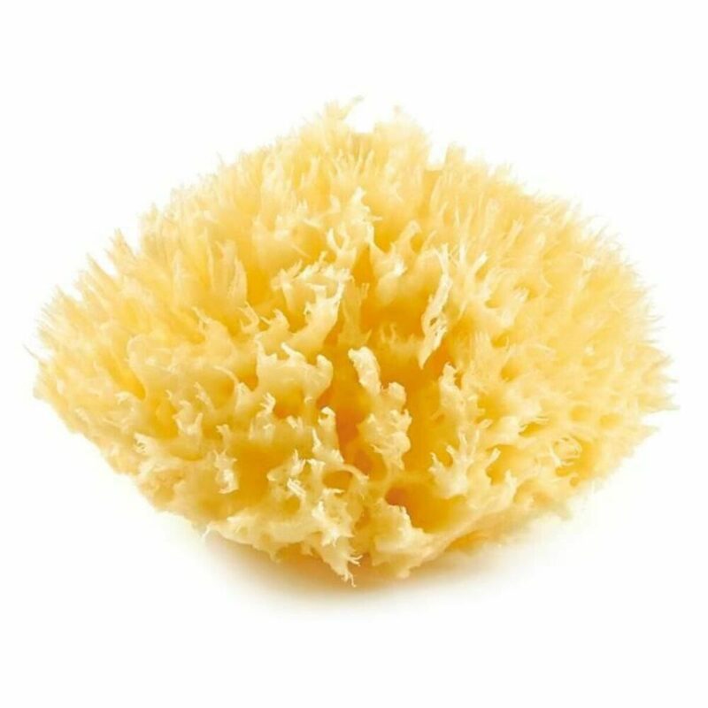S7102556_0