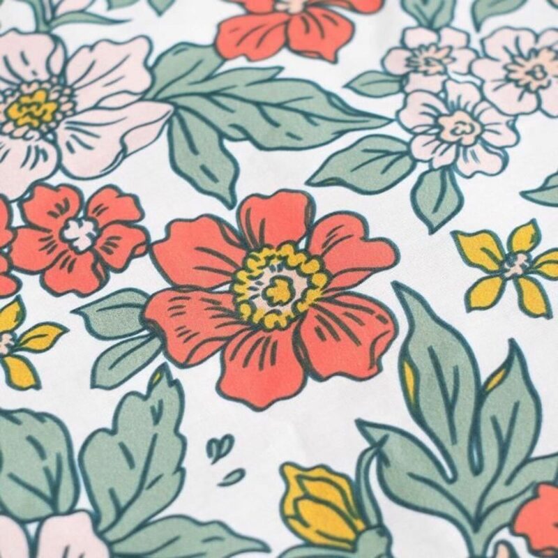 S71001581_1 S71001581_1