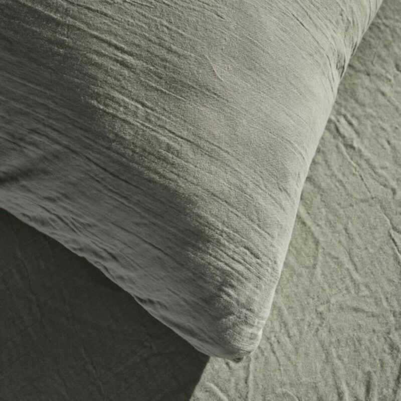 S71002816_2 S71002816_2