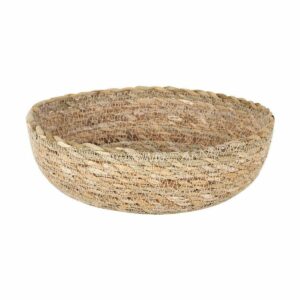 S2227863_1 S2227863_1