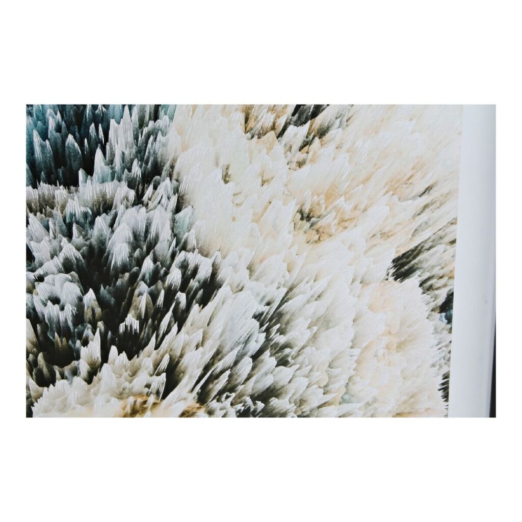 S3013700_2 S3013700_2