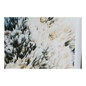 S3013700_2 S3013700_2