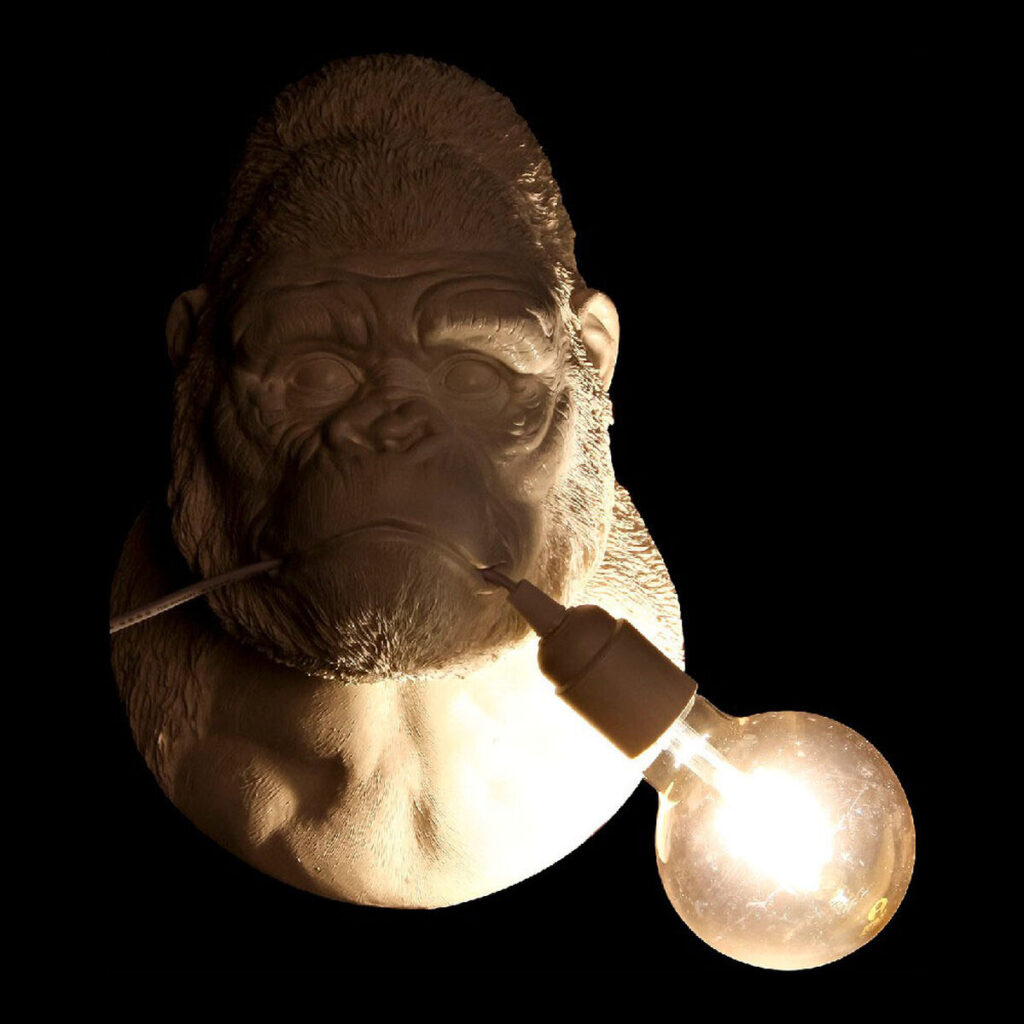 S3014581_1 S3014581_1