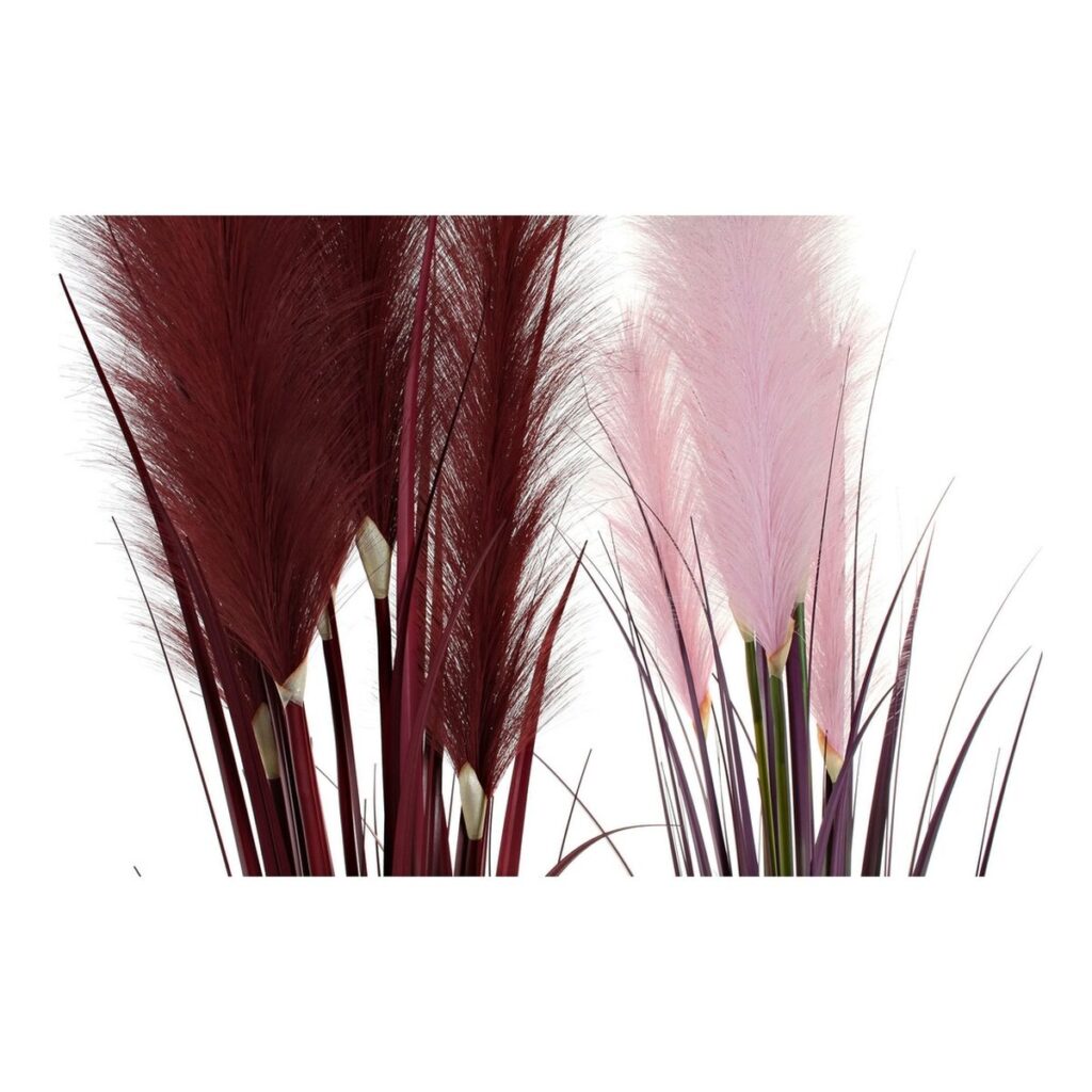 S3014245_1 S3014245_1