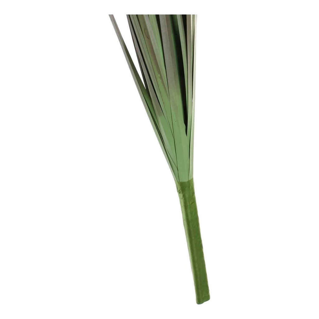 S3014245_2 S3014245_2