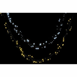 S3025497_2 S3025497_2