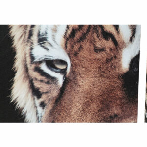 S3017901_2 S3017901_2