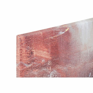 S3017904_1 S3017904_1