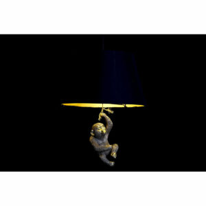 S3020996_1 S3020996_1
