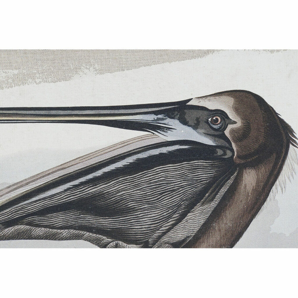 S3018420_1 S3018420_1