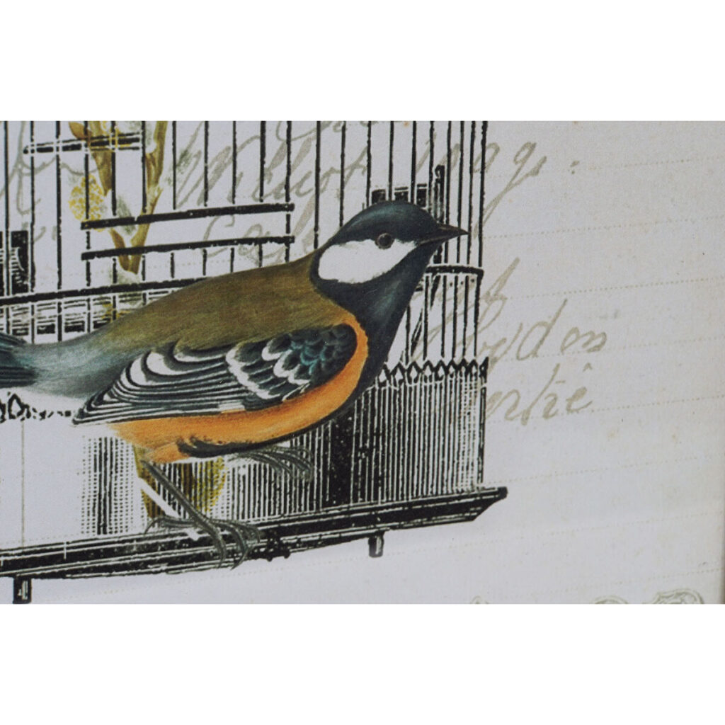 S3018422_1 S3018422_1