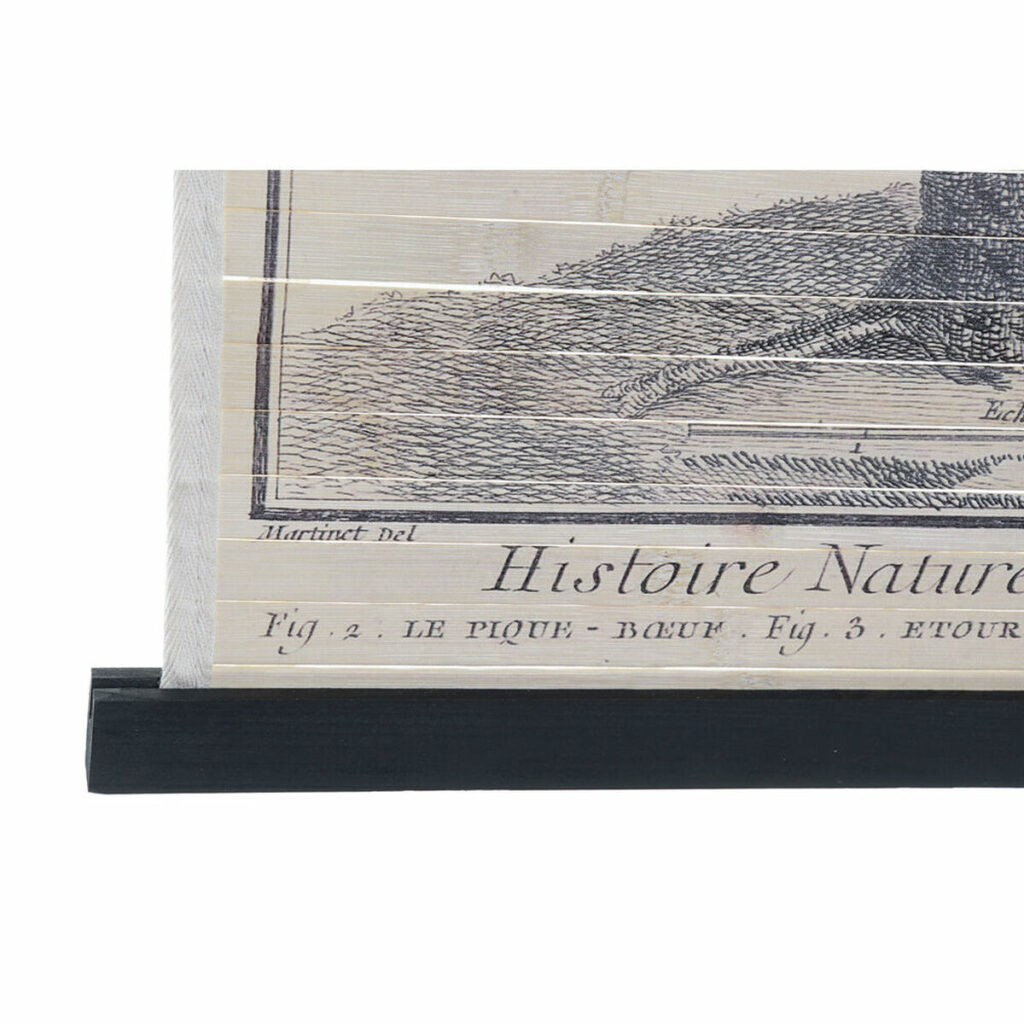 S3018427_1 S3018427_1