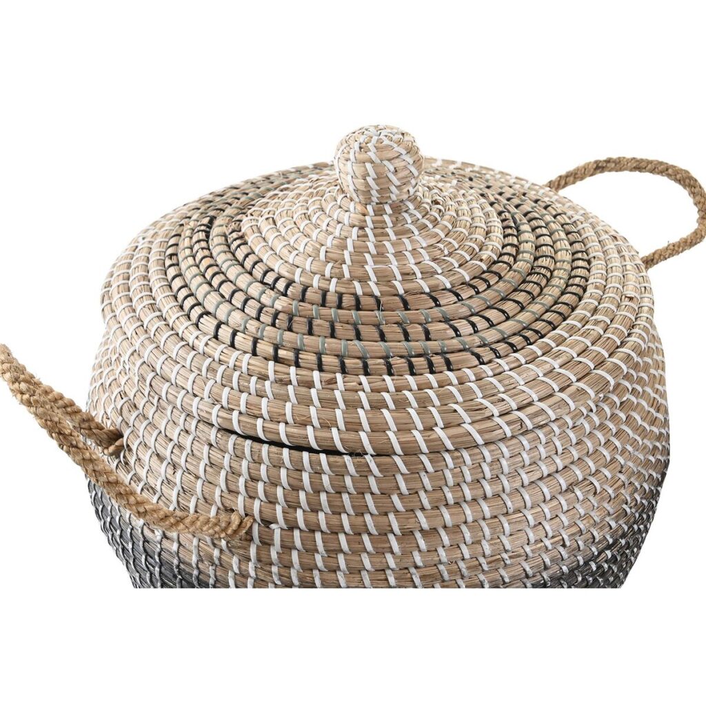 S3018621_2 S3018621_2