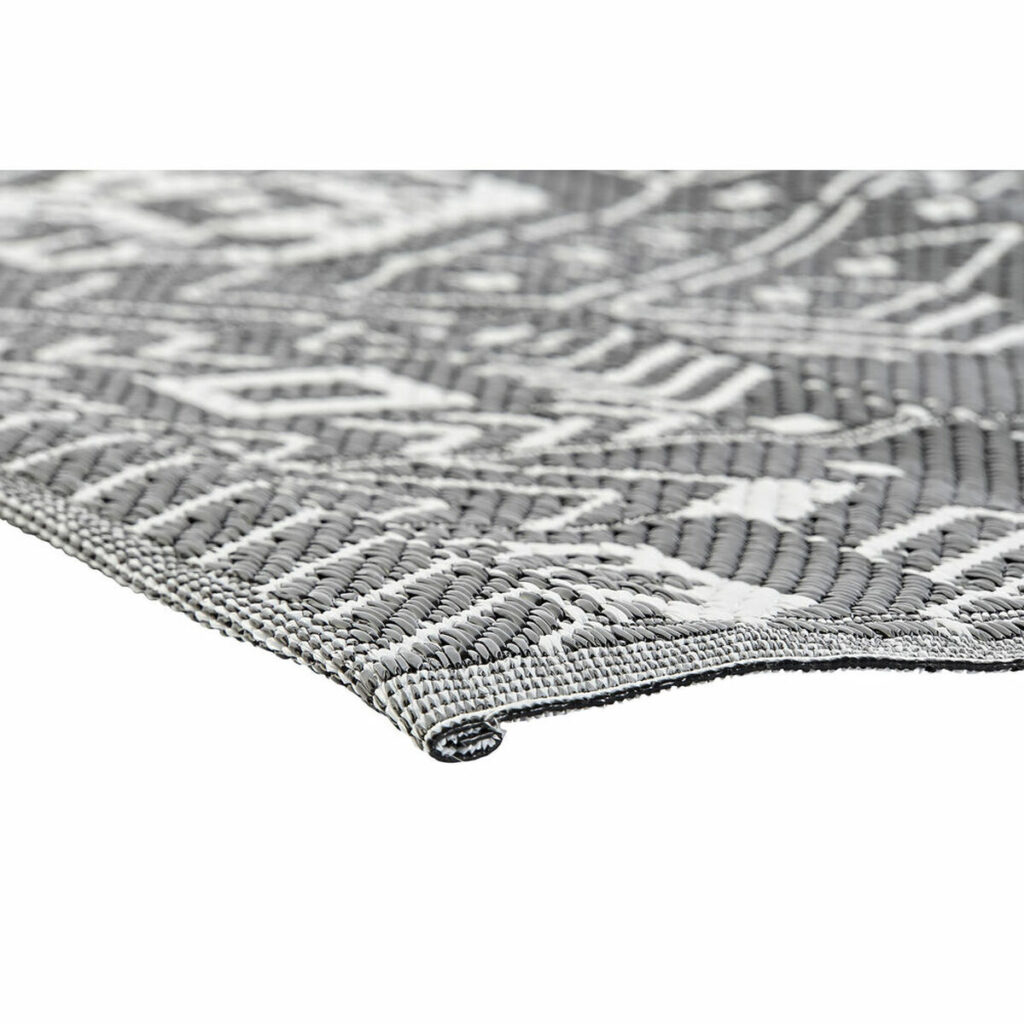 S3038093_2 S3038093_2