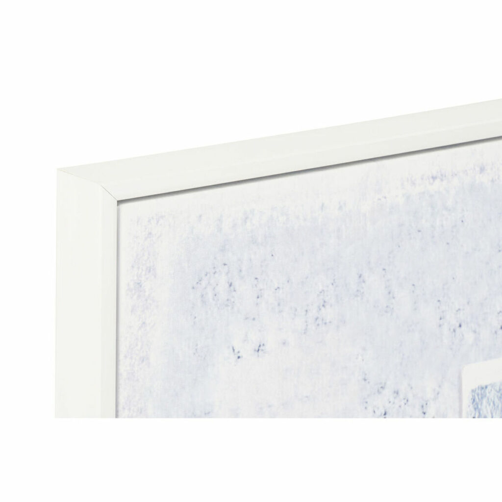 S3028206_1 S3028206_1