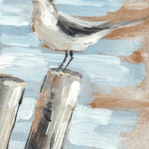 S3028223_3 S3028223_3