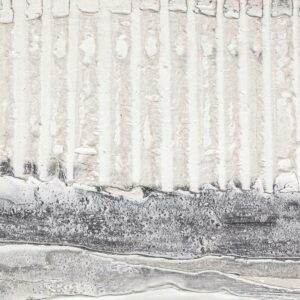 S3028232_1 S3028232_1