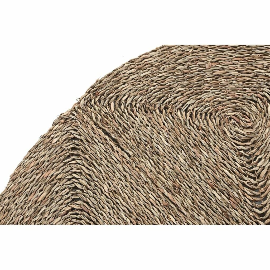 S3038170_3 S3038170_3