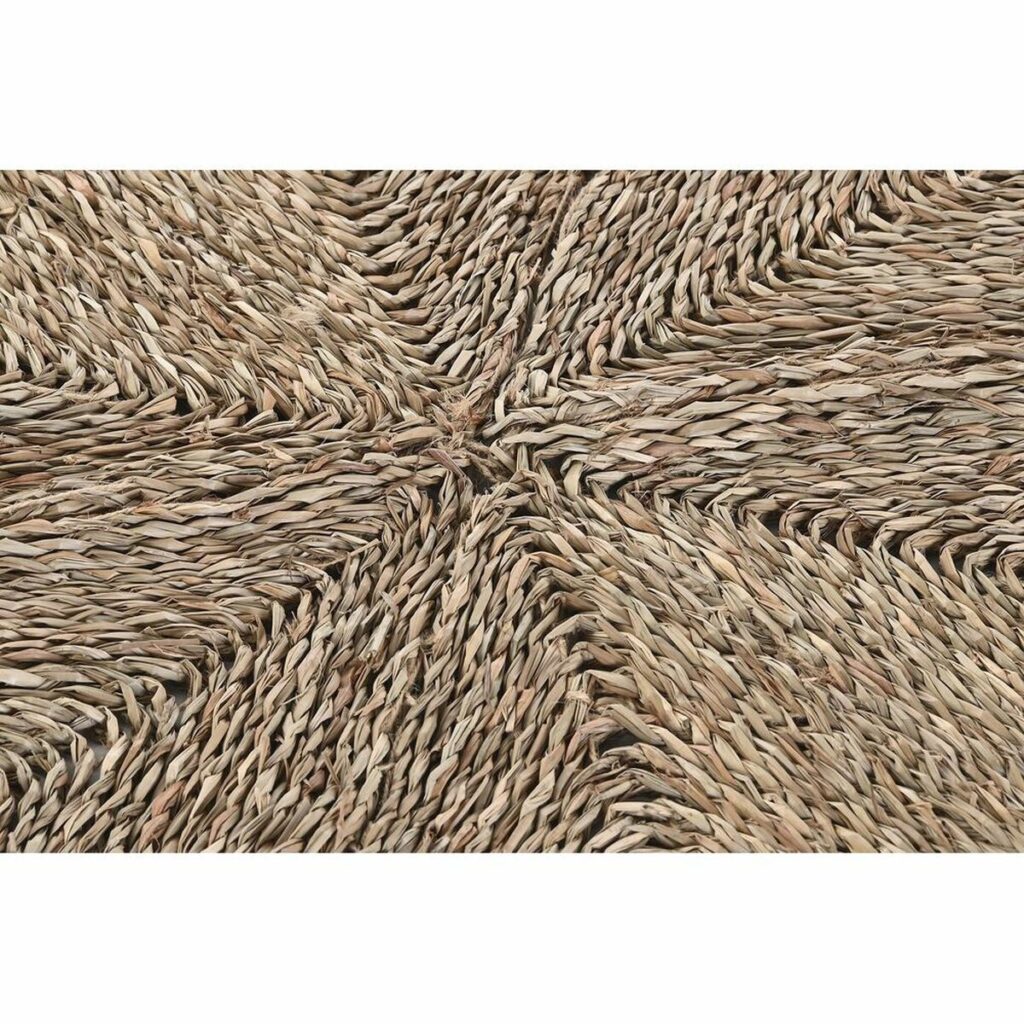 S3038170_2 S3038170_2
