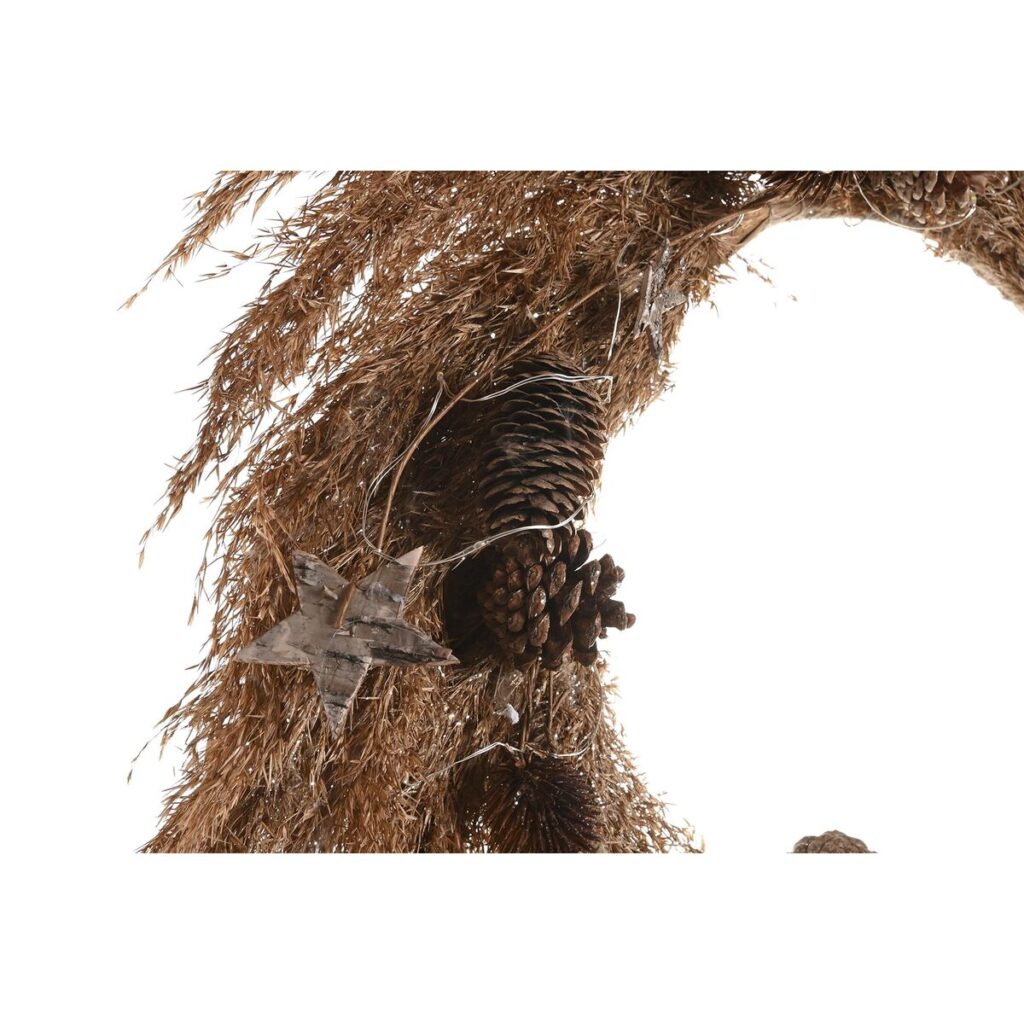 S3036084_2 S3036084_2