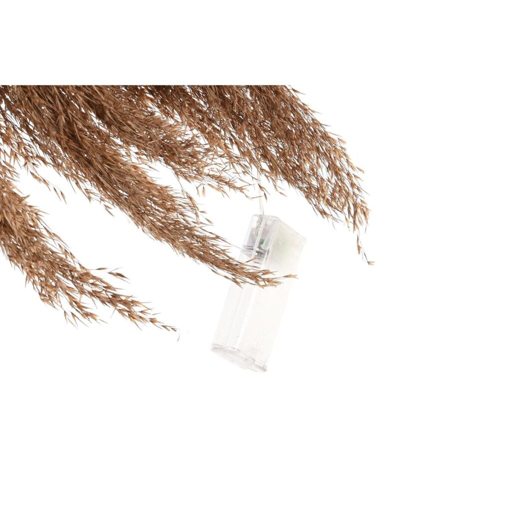 S3036084_3 S3036084_3