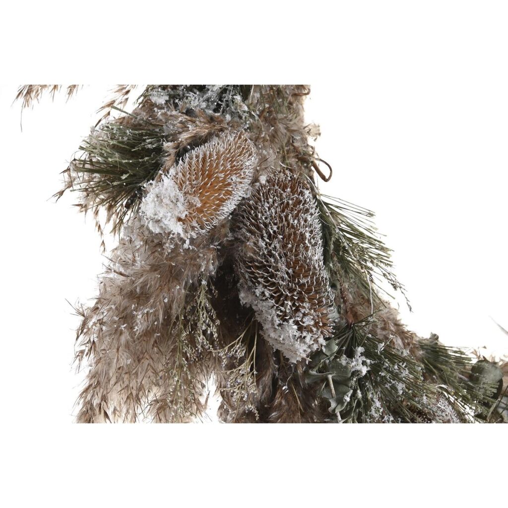 S3036085_3 S3036085_3