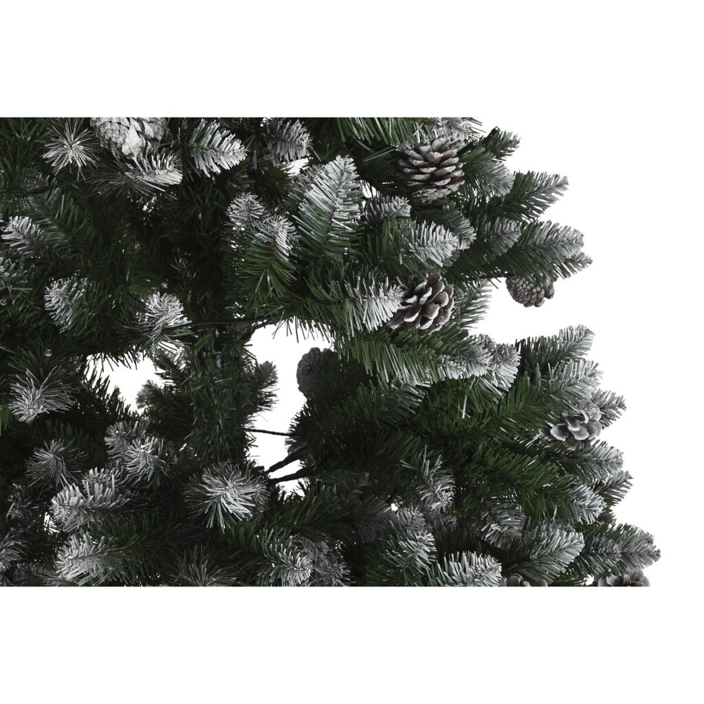 S3036292_2 S3036292_2