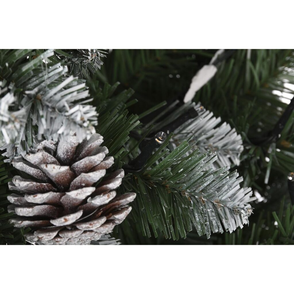 S3036292_6 S3036292_6