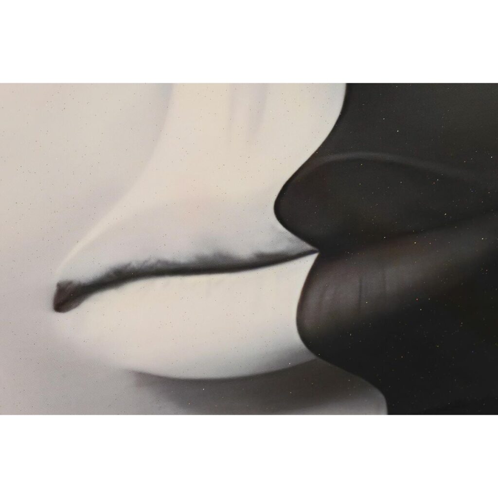 S3028605_2 S3028605_2