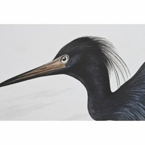 S3028644_1 S3028644_1