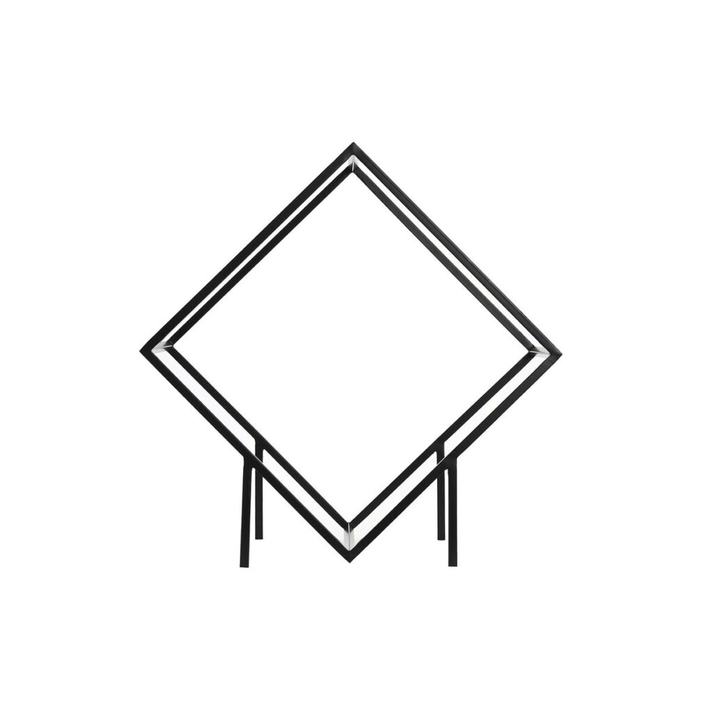 S3038834_1 S3038834_1