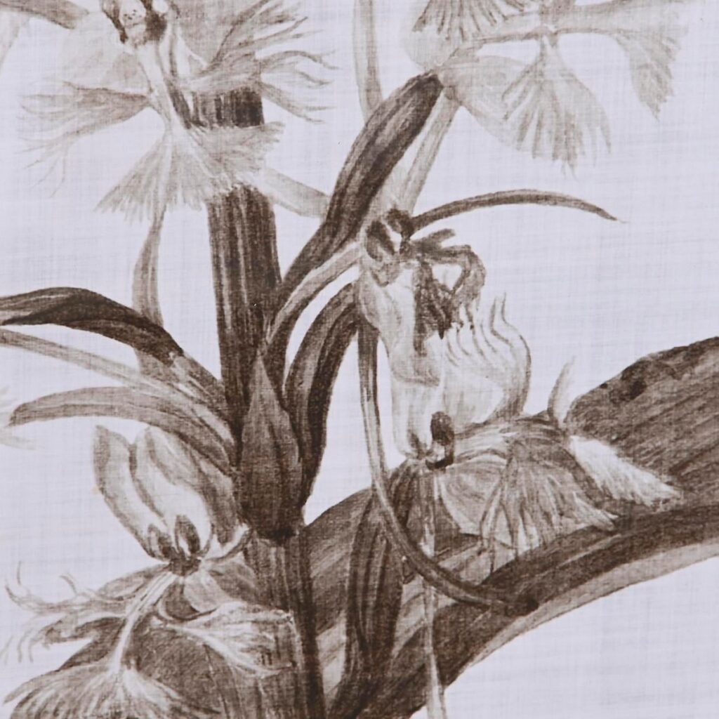 S3038854_2 S3038854_2