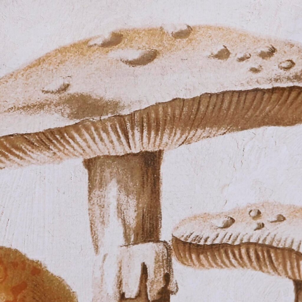 S3038861_2 S3038861_2
