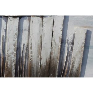 S3039066_1 S3039066_1