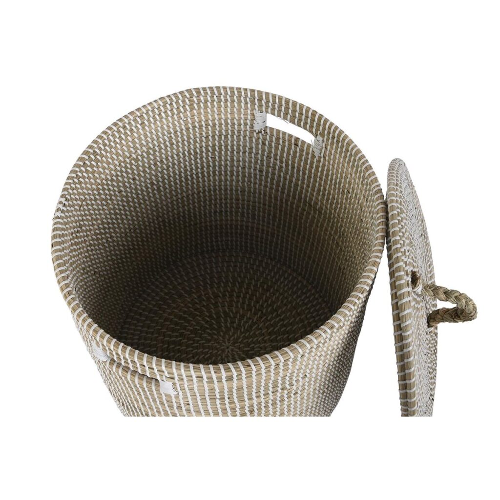 S3039210_1 S3039210_1