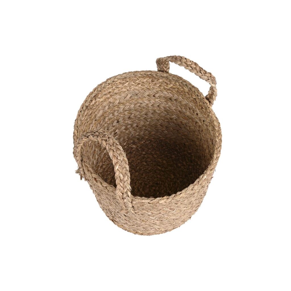 S3039213_1 S3039213_1