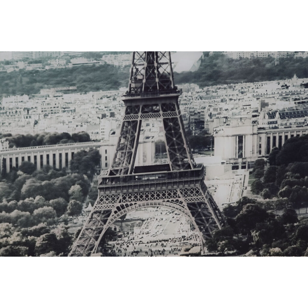 S3042931_2 S3042931_2