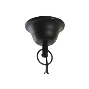 S3043693_2 S3043693_2