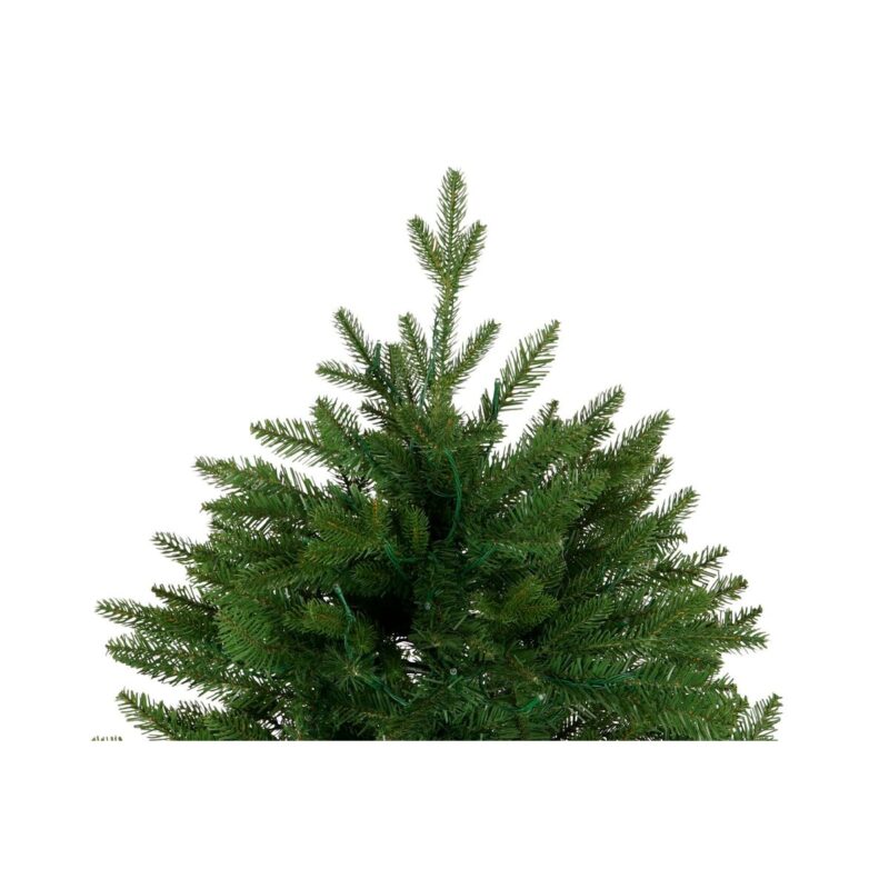 S3052355_3 S3052355_3