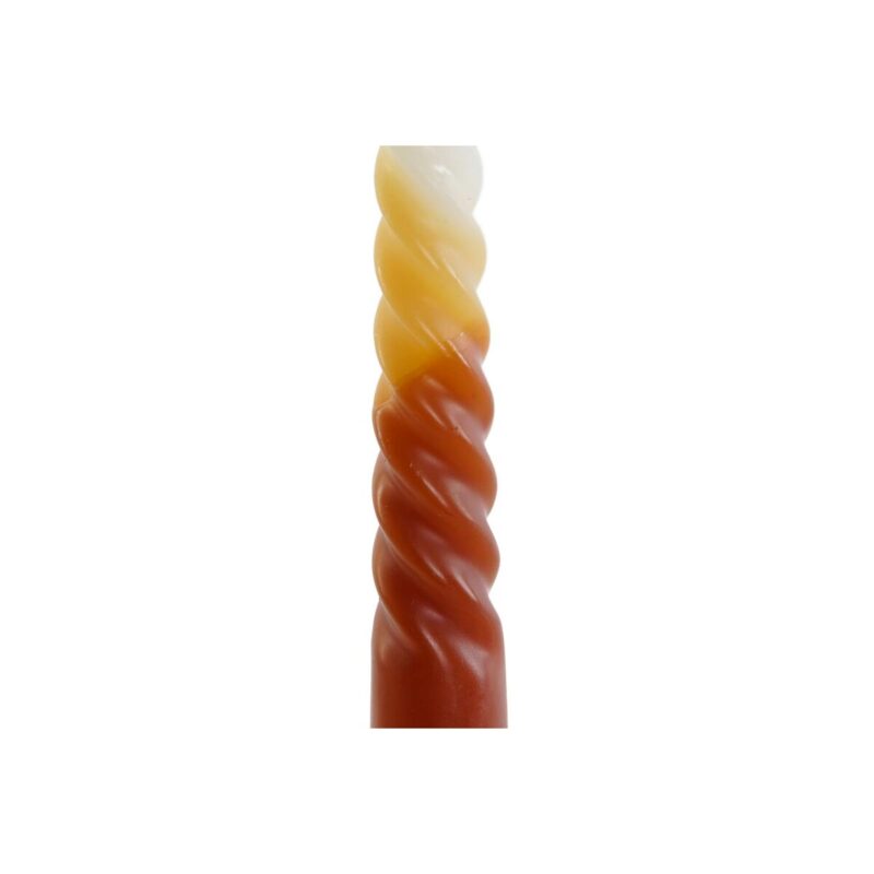 S3052407_2 S3052407_2