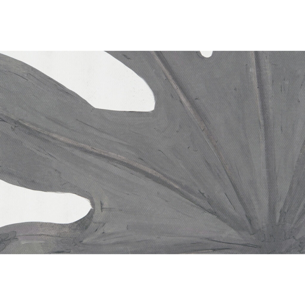 S3052793_2 S3052793_2