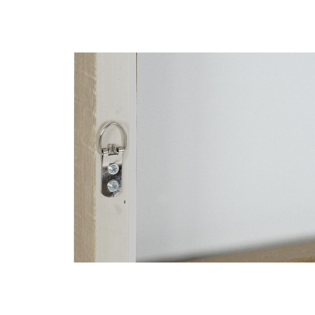 S3052809_2 S3052809_2