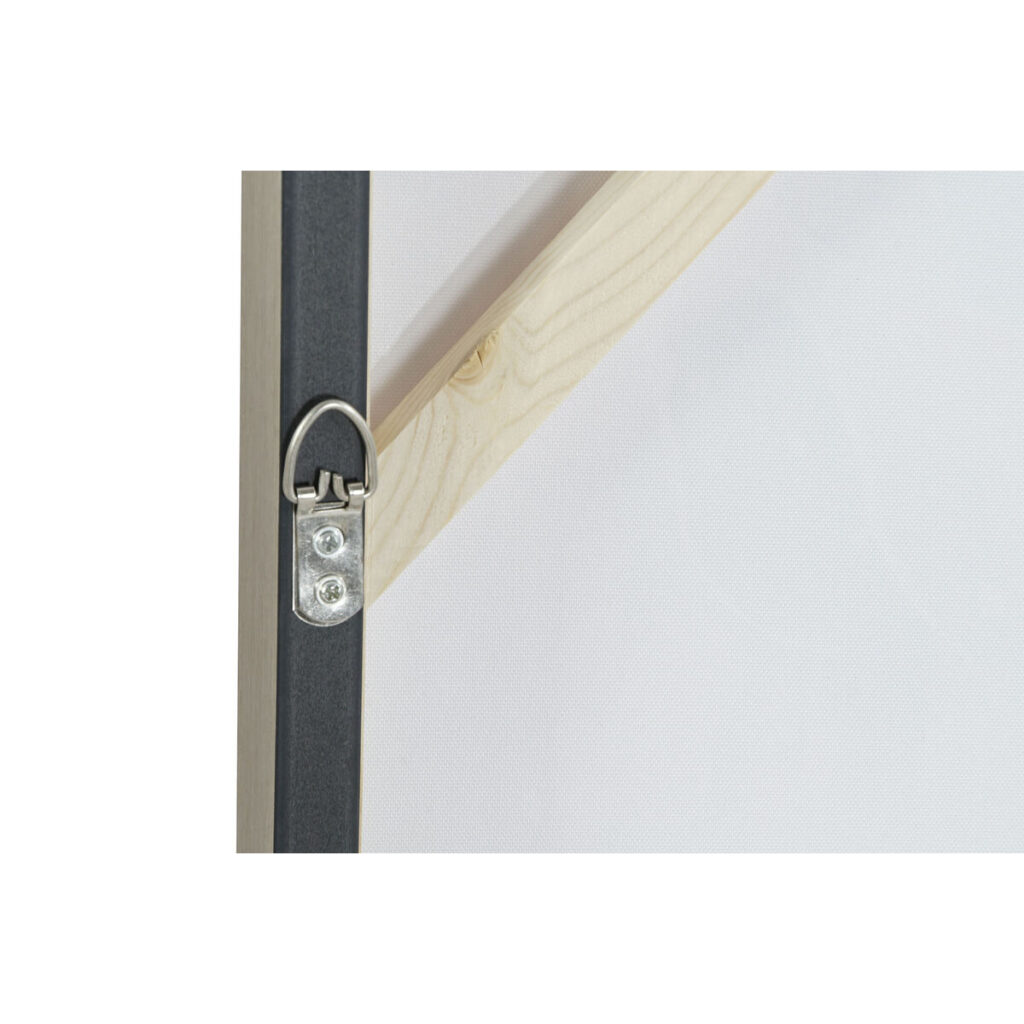 S3053003_1 S3053003_1