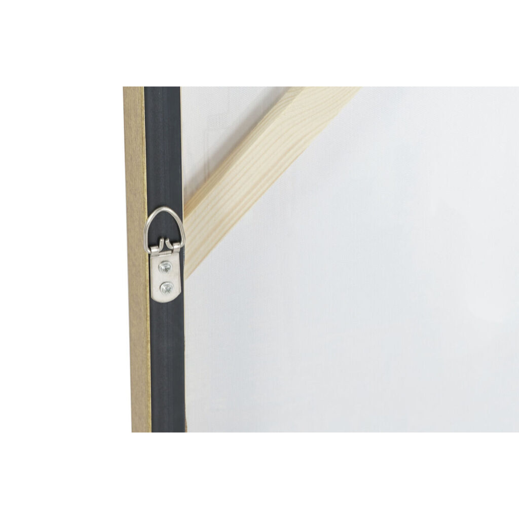 S3053005_1 S3053005_1