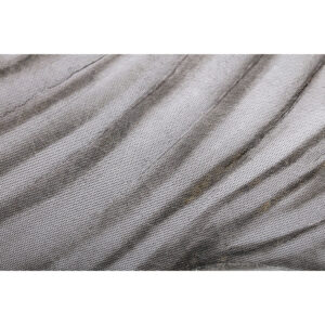 S3053458_7 S3053458_7