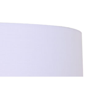 S3055003_4 S3055003_4