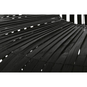 S3053498_1 S3053498_1