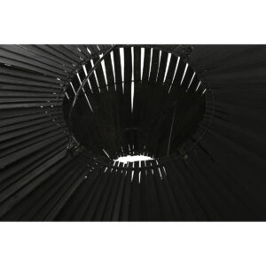 S3053498_2 S3053498_2