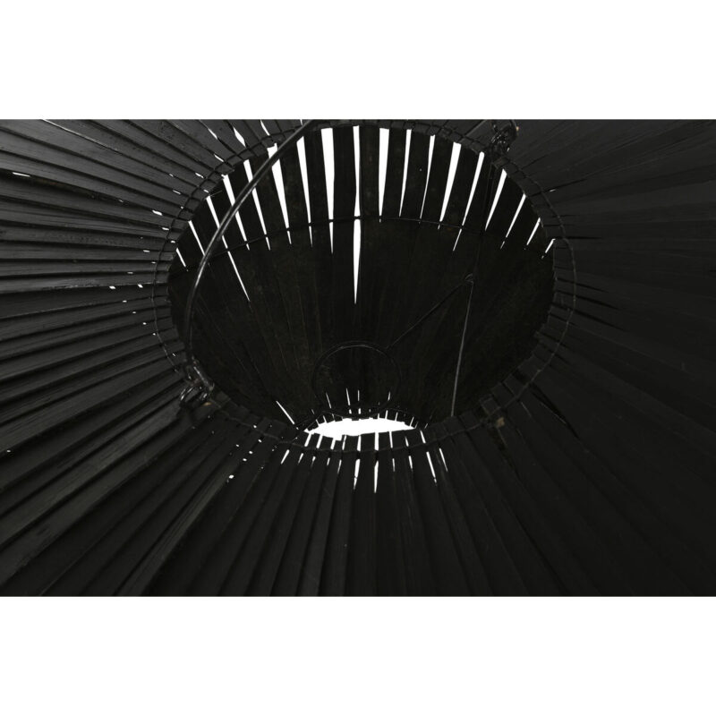 S3053498_2 S3053498_2
