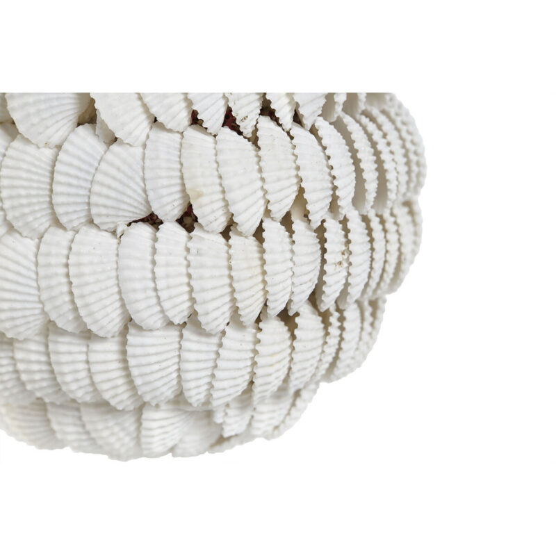 S3055449_1 S3055449_1